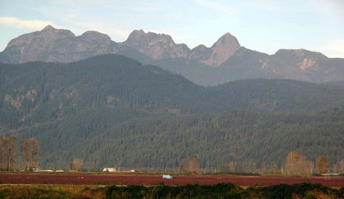 Golden Ears, Alouette Mtns and UBC Research Forest